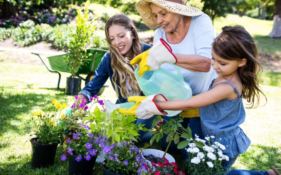Support Women, Save on Taxes, Leave a Legacy